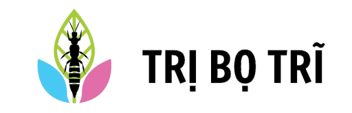 Trị Bọ Trĩ
