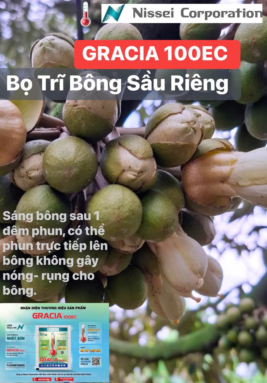 Ném Chuột Sợ Vỡ Bình, Phun Vào Hoa Thì Sợ Rụng Bông: Các Nông Dân Tỷ Phú Trồng Sầu Riêng Đang Lo Gì?