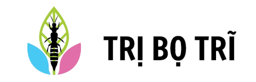 Trị Bọ Trĩ