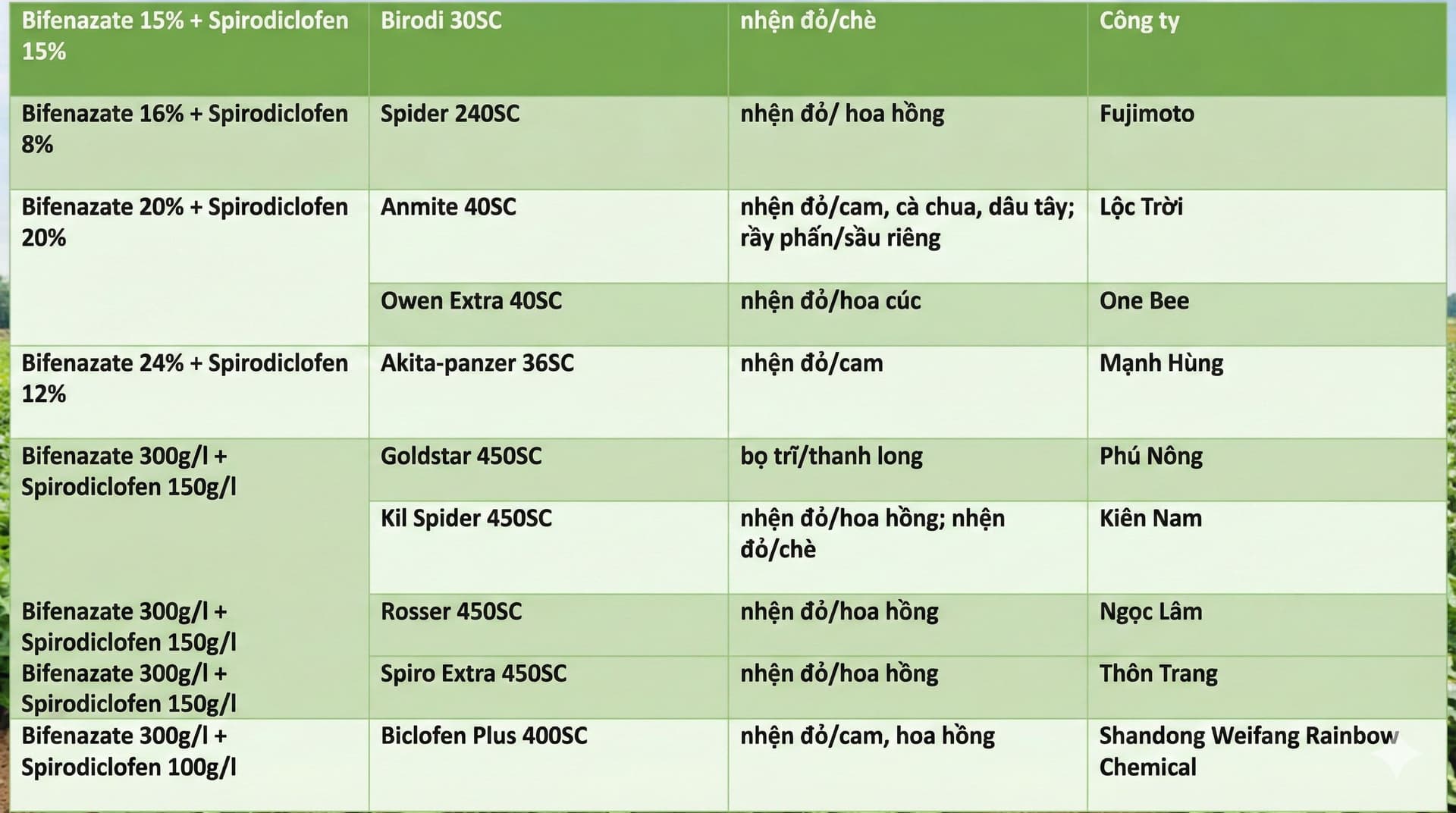 Xoay Quanh Mùa Tết Là Bàn Chuyện Nhện Đỏ, Mát Mát Tí Là Nhện Đỏ Kéo Ra Ăn Tết Kinh Hoàng, May Mà Có Công Thức Phối Bifenazate + Spirodiclofen
