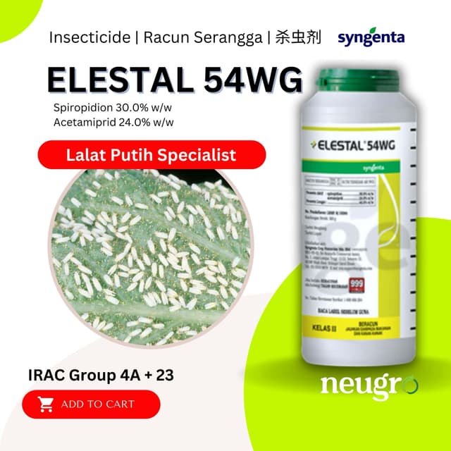 Elestal Chưa Ra, Flocento Đã Tới, Spiropidion Đã Sẵn Sàng Cho Một Hành Trình Dài Hơi Ở Việt Nam