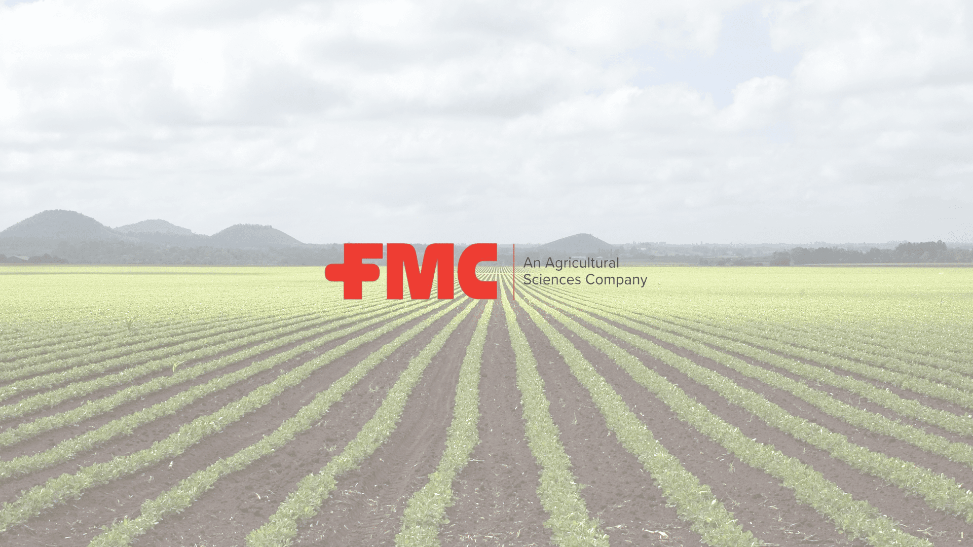 FMC Đang Thử Nghiệm Công Thức Cyantraniliprole 21% + Flonicamid 21% SC Để Mở Đường Cho Việc Kinh Doanh Siêu Phẩm Này Tại Việt Nam?