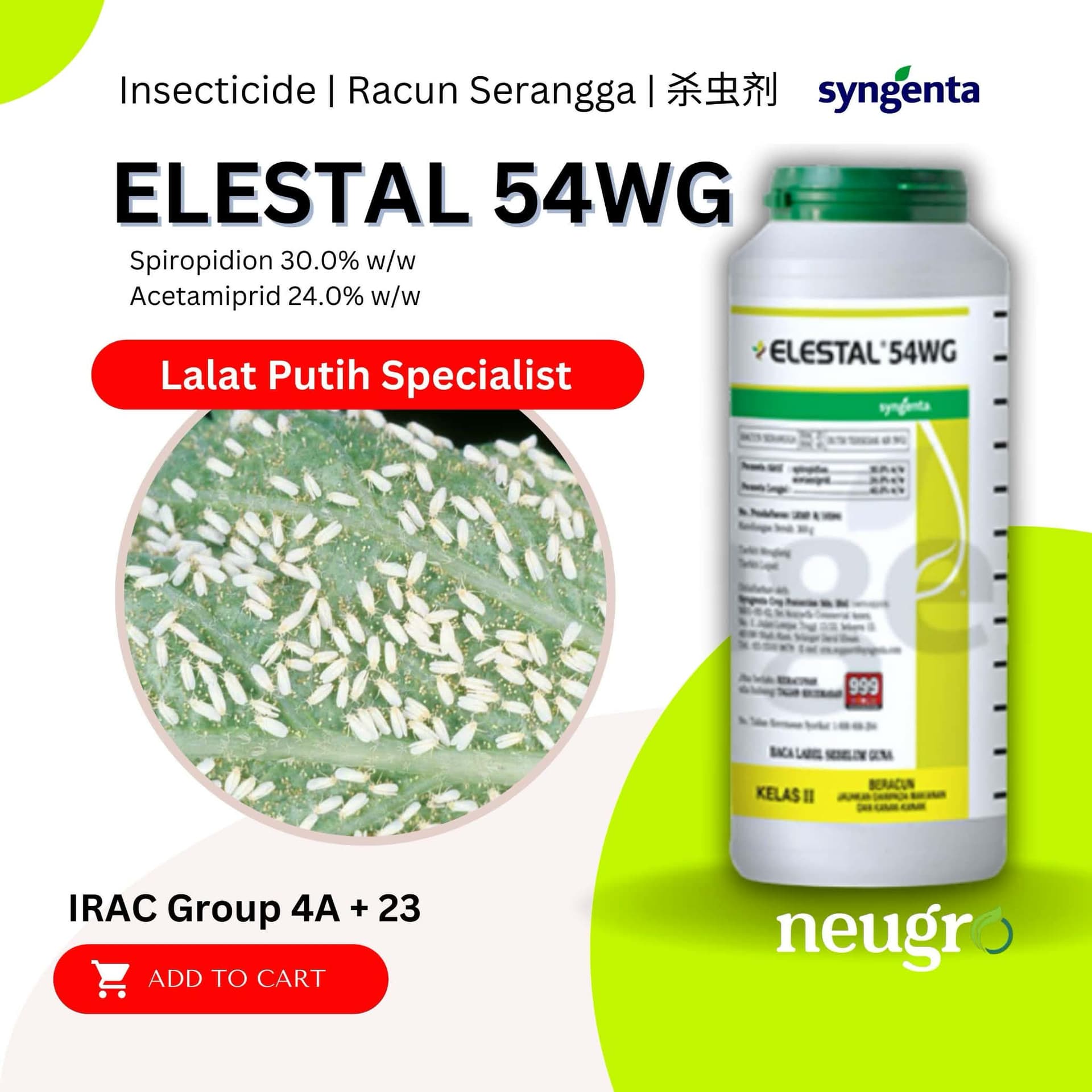 Elestal Chưa Ra, Flocento Đã Tới, Spiropidion Đã Sẵn Sàng Cho Một Hành Trình Dài Hơi Ở Việt Nam